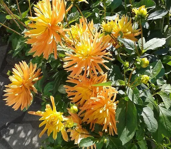 La Jumeliere Laval Nord Hotel *